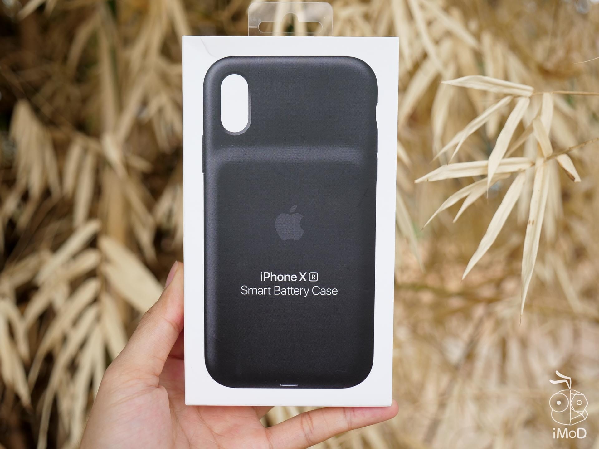 Smart case iphone 11