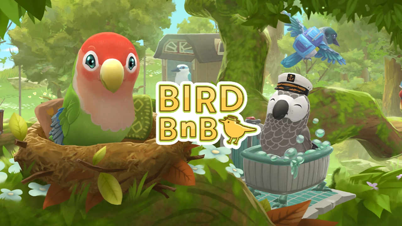 Bird game. Bird BNB. Little Bird игра. Птицы из игры кликер. VIB Bird all Bird BNB games.