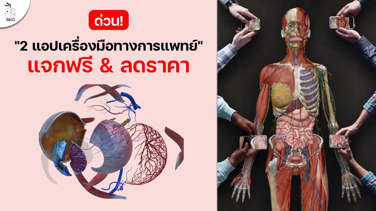 ด่วน! แอปเครื่องมือทางการแพทย์ Eye Anatomy Atlas แจกฟรี ...