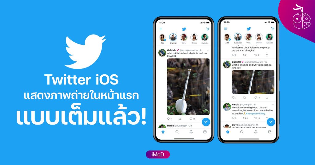 Twitter บน iOS รองรับแสดงภาพแบบเต็มในหน้าหลักแล้ว