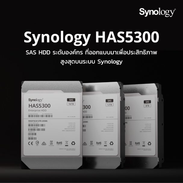 synology sas support